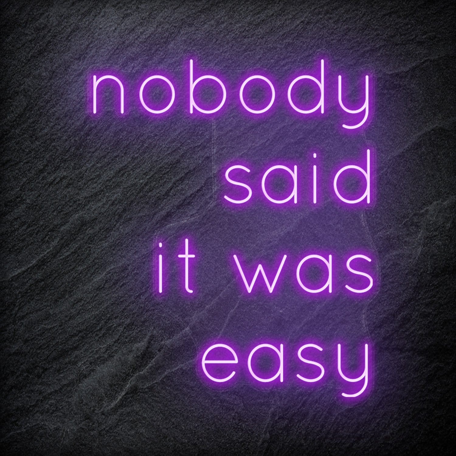 "Nobody Said It Was Easy" LED Neon Schriftzug Sign - NEONEVERGLOW