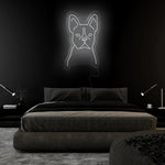 "Hund" LED Neonschild Sign - NEONEVERGLOW