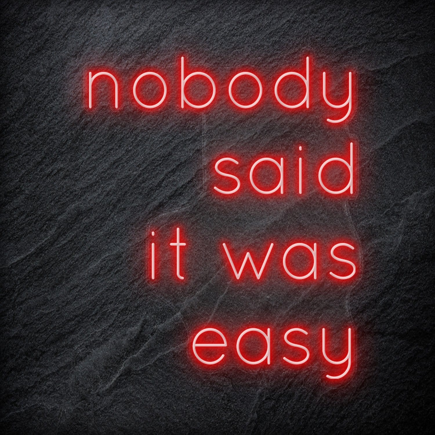 "Nobody Said It Was Easy" LED Neon Schriftzug Sign - NEONEVERGLOW