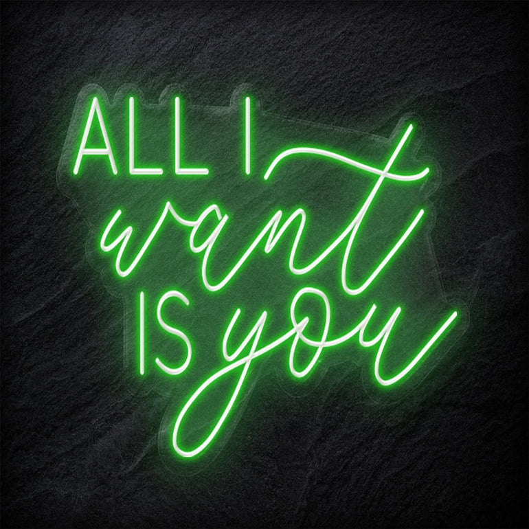 " All I Want Is You" LED Neonschild - NEONEVERGLOW