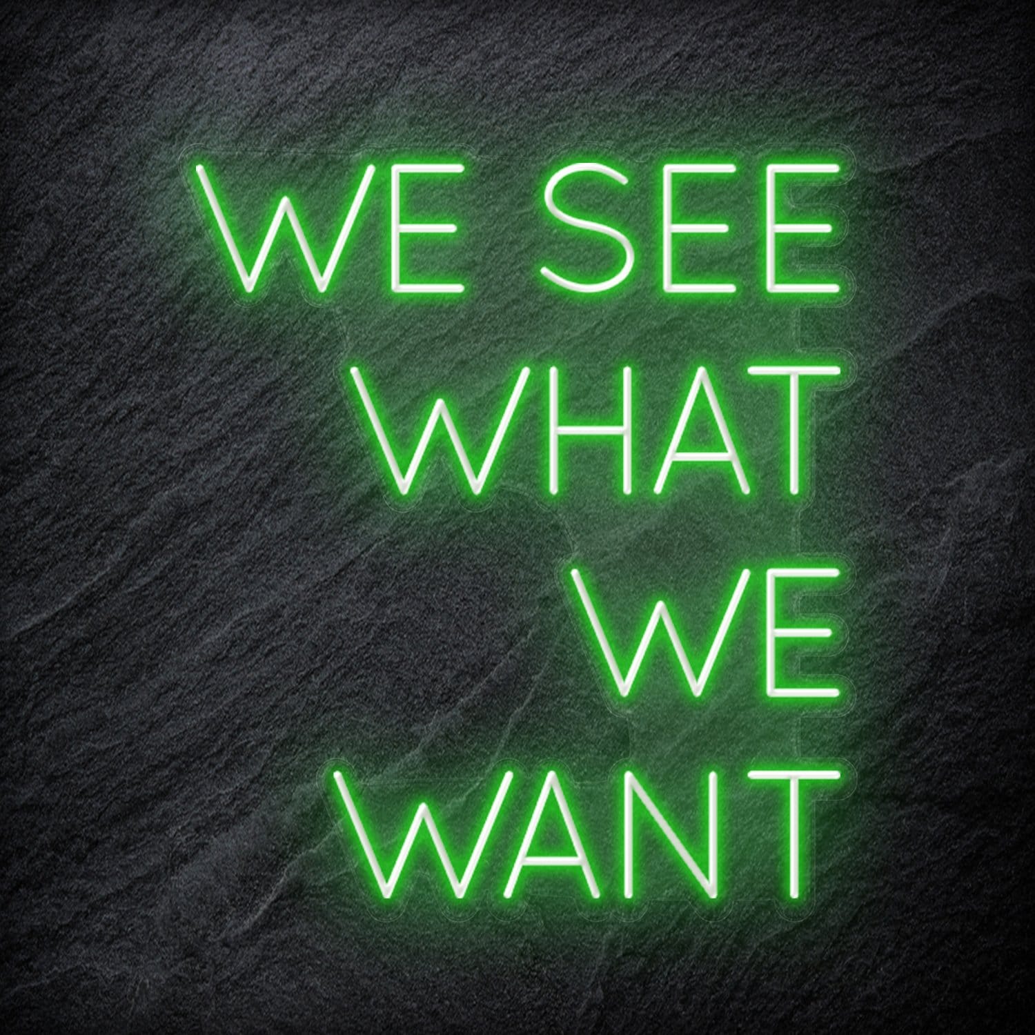 "We See What We Want" LED Neon Schriftzug Sign - NEONEVERGLOW