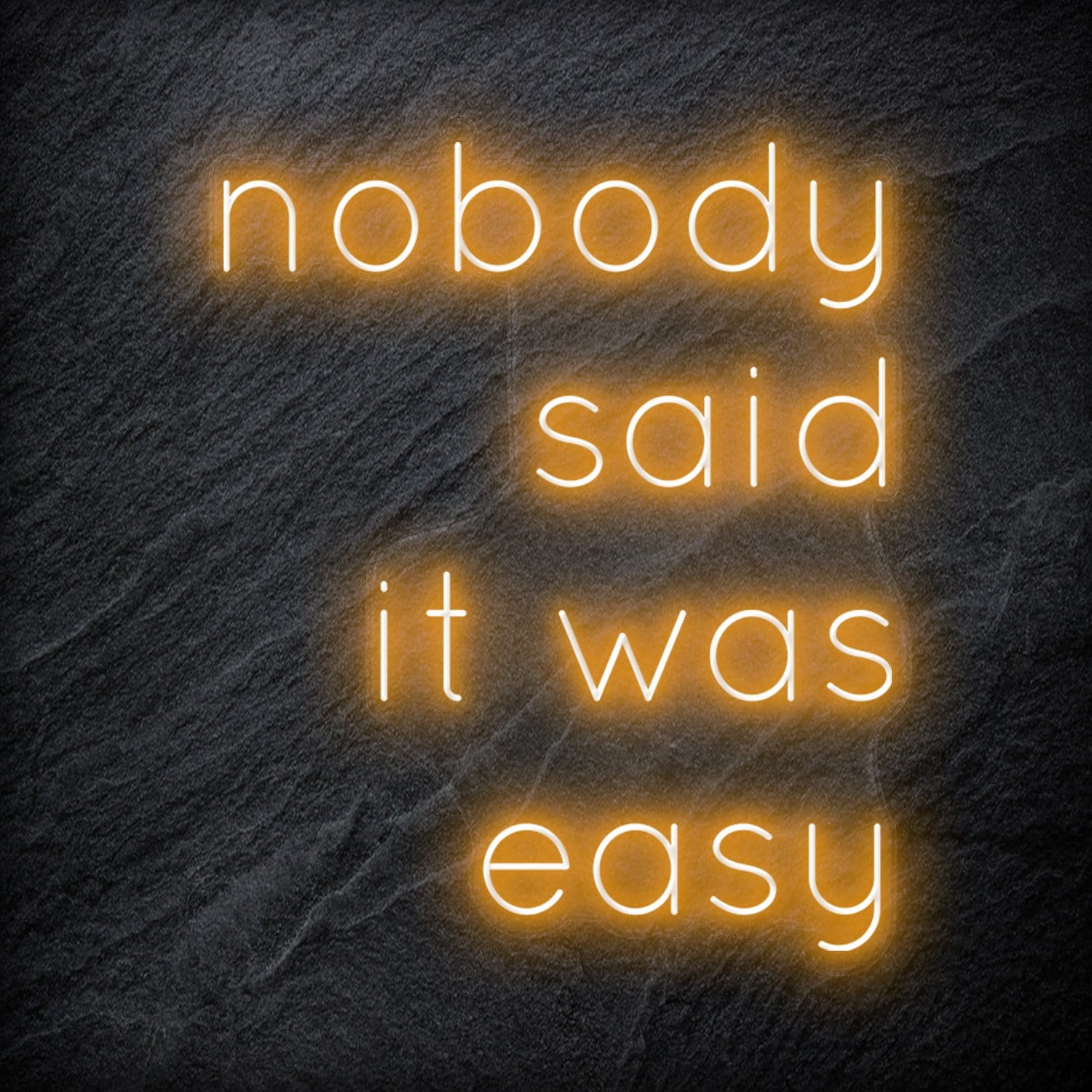 "Nobody Said It Was Easy" LED Neon Schriftzug Sign - NEONEVERGLOW