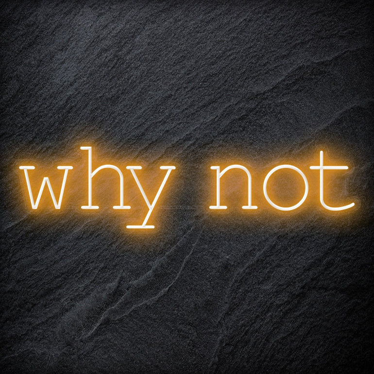 "Why Not" LED Neon Sign Schriftzug - NEONEVERGLOW