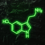 "NH2 HO NH" LED Neonschild - NEONEVERGLOW