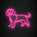 "Hund" LED Neonschild Sign - NEONEVERGLOW