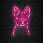 "Hund" LED Neonschild Sign - NEONEVERGLOW