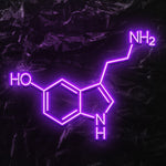 "NH2 HO NH" LED Neonschild - NEONEVERGLOW
