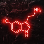 "NH2 HO NH" LED Neonschild - NEONEVERGLOW