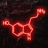 "NH2 HO NH" LED Neonschild - NEONEVERGLOW