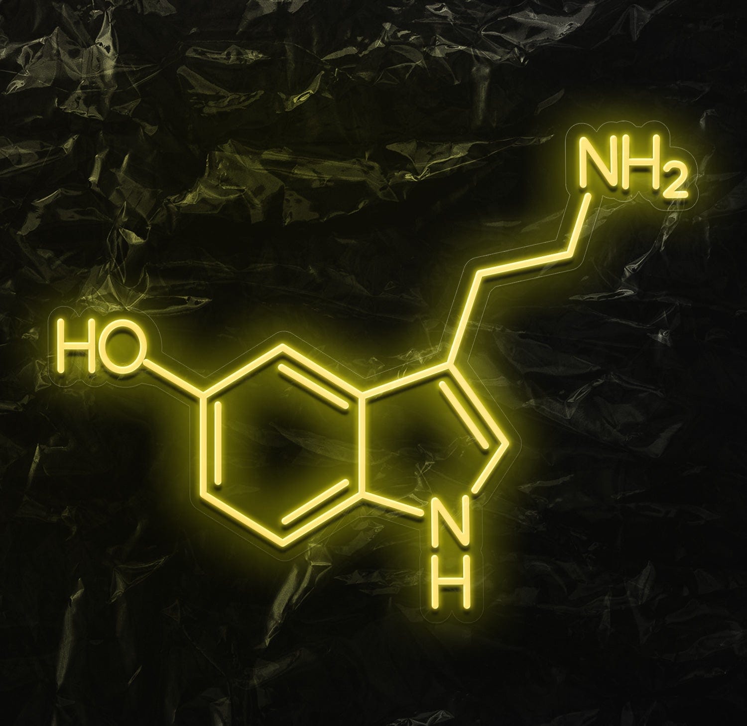 "NH2 HO NH" LED Neonschild - NEONEVERGLOW